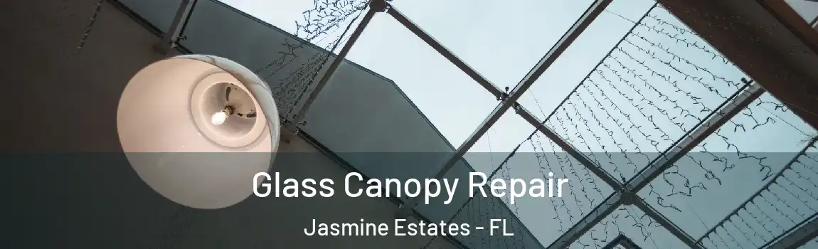  Glass Canopy Repair Jasmine Estates - FL
