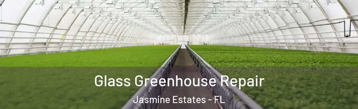  Glass Greenhouse Repair Jasmine Estates - FL