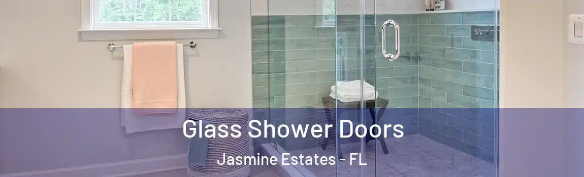  Glass Shower Doors Jasmine Estates - FL