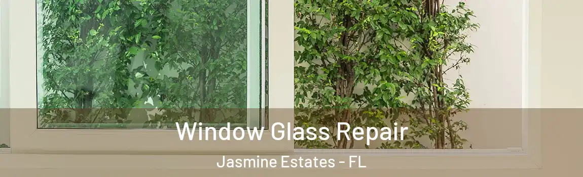 Window Glass Repair Jasmine Estates - FL