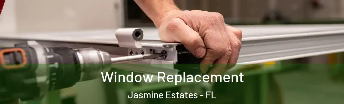  Window Replacement Jasmine Estates - FL