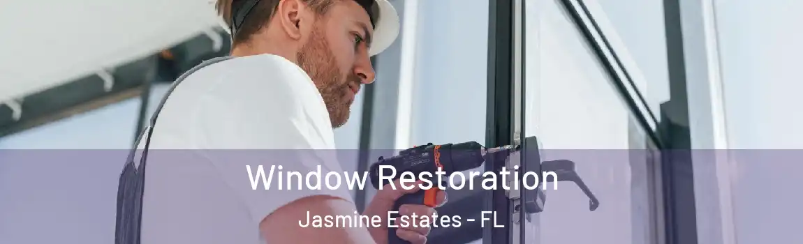  Window Restoration Jasmine Estates - FL